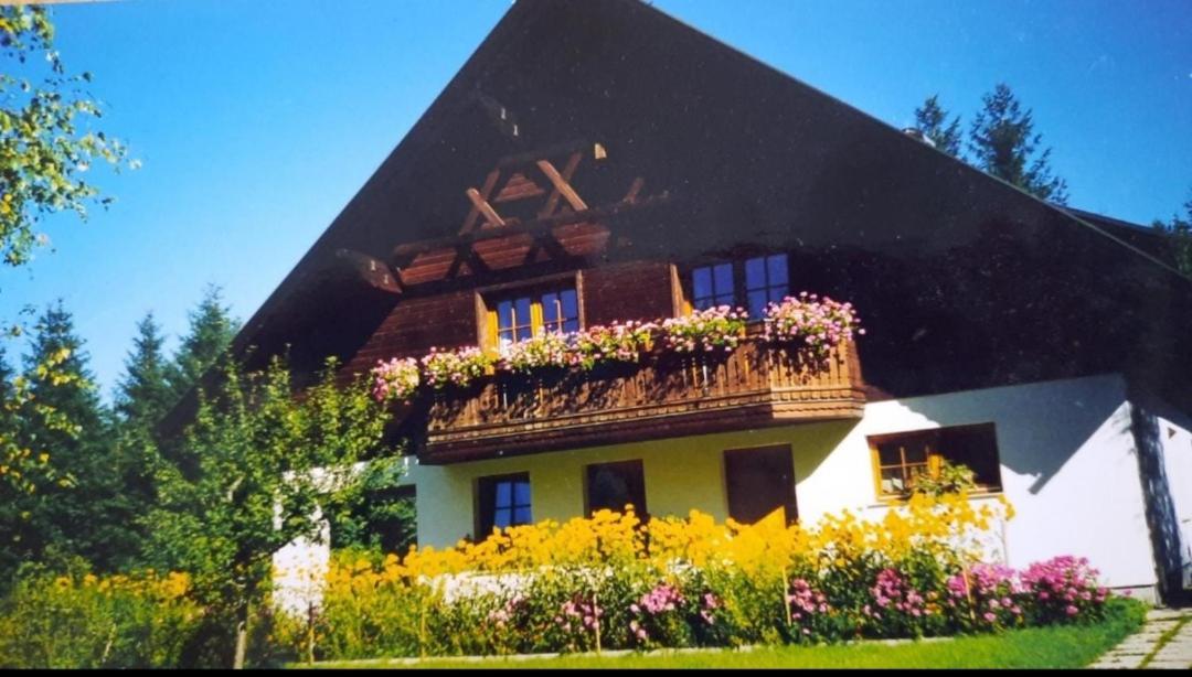 Haus Annaburg Διαμέρισμα Mariazell Εξωτερικό φωτογραφία